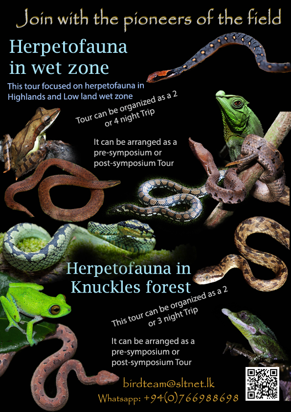 Herpatofauna in Wet zone